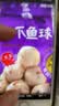 四海鱼蛋八爪鱼球一斤装500g火锅食材关东煮丸子空气炸锅生鲜鱼丸 实拍图