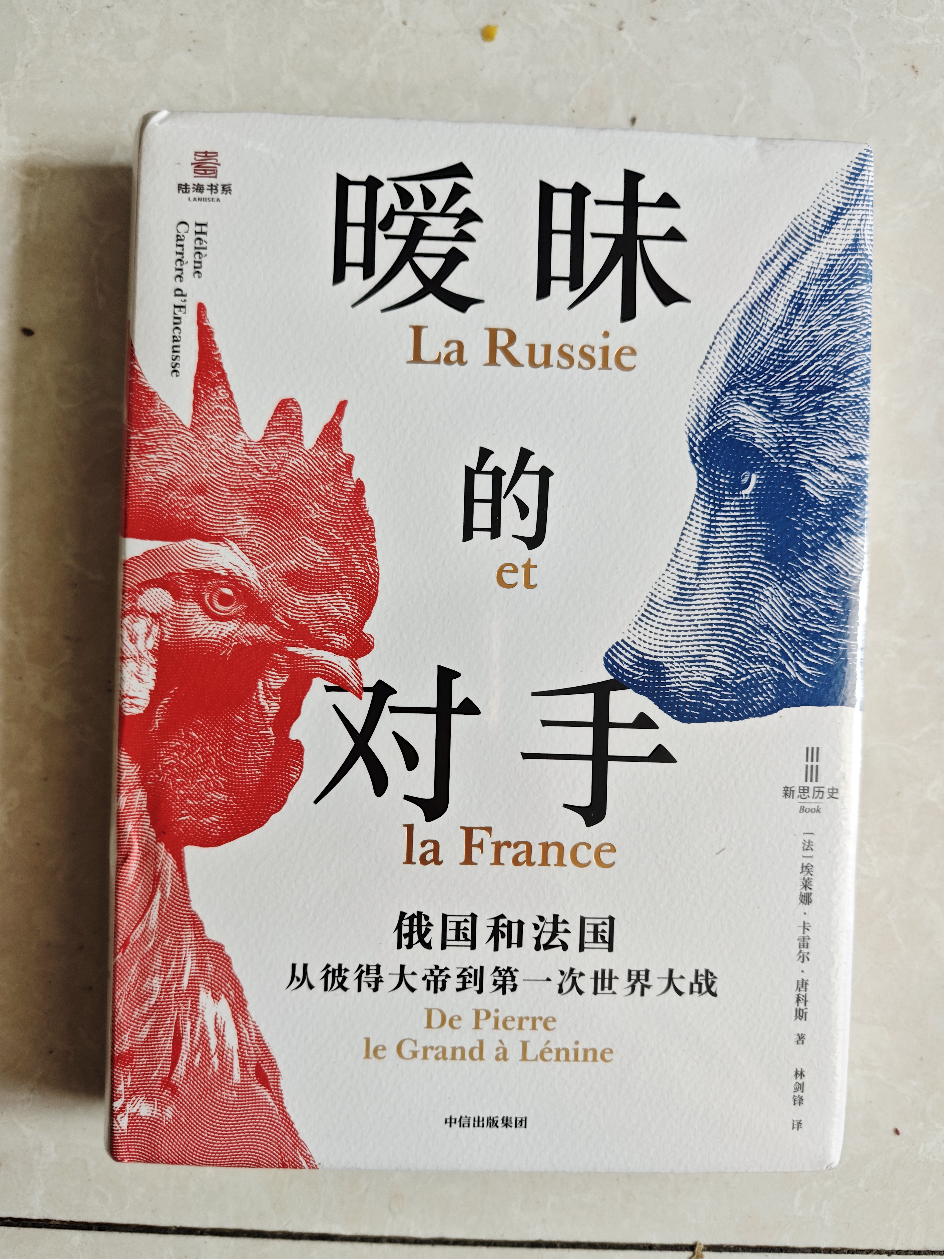 暧昧的对手 俄国和法国 从彼得大帝到第一次世界大战 俄法关系 俄欧关系 俄乌冲突 法兰西学术院院士唐科斯女士代表作 俄国史 法国史 北欧 中东欧 巴尔干 实拍图