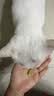 网易严选猫用薄荷饼干宠物幼猫成猫猫咪零食饼干薄荷味 95克 实拍图