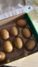 佳沛（zespri）新西兰阳光金奇异果10粒巨大果单果146-175g 猕猴桃水果礼盒 实拍图