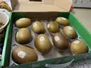 佳沛（zespri）新西兰阳光金奇异果10粒巨大果单果146-175g 猕猴桃水果礼盒 实拍图
