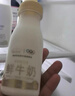 每日鲜语鲜牛奶4.0g蛋白质 211ml*6 家庭必备  巴氏杀菌乳 低温奶 实拍图