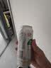龙山泉 本溪特产龙山泉啤酒 银易拉罐500ml*12听纯粮酿造 实拍图