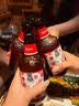 黑狮啤酒【雪花旗下高端品牌】玫瑰红覆盆子果啤 330ml*12瓶 京东自营 实拍图