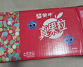 蒙牛真果粒果缤纷多口味草莓芦荟椰果黄桃果粒牛奶饮品250g*24盒 礼盒 实拍图
