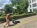 博赫尔 德国博赫尔 工业扫地机手推式无动力商用工厂车间仓库道路地面清扫车 55L天窗工程款 实拍图