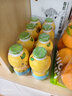 金豆芽儿童金银花柚子汁155ml*16瓶夏天孩子饮料宝宝果汁西柚汁 实拍图
