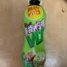 维他奶维他手指柠檬茶饮料500ml*15瓶 甄选大红袍  家庭聚会 实拍图