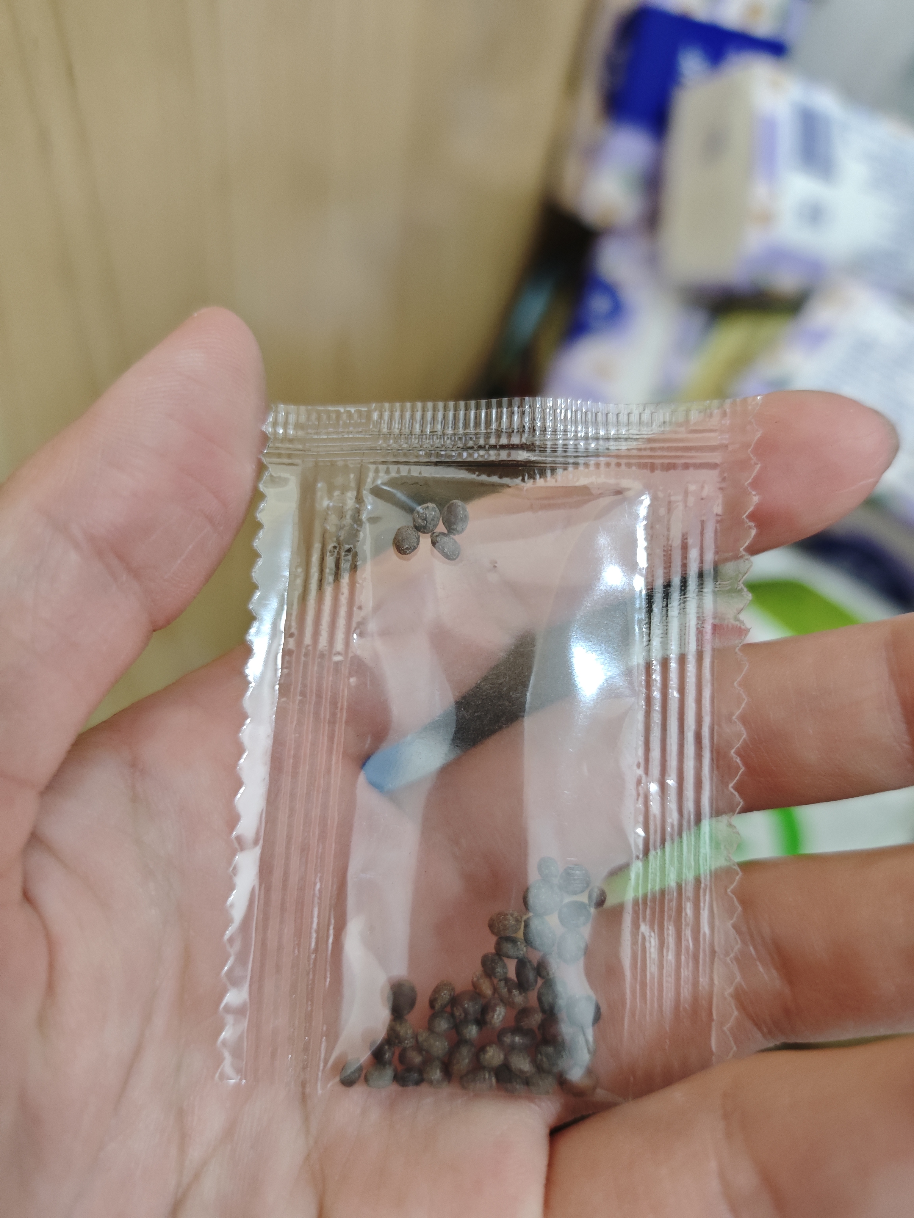 波斯菊花种子种籽子四季播种易活庭院室外凤仙花籽矢车菊翠菊种孑 01：重瓣混色凤仙花种子 今年新籽：粒粒精选20-30粒【开花爆盆】 实拍图