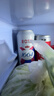 kronenbourg 1664啤酒三口味500*12(白啤+桃红+法蓝) 精酿非原箱 实拍图