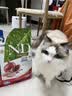 法米娜Farmina进口猫粮石榴鸡肉成猫粮5kg无谷高蛋白效期26年11-12月 实拍图