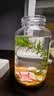 哈洁宝微景观生物生态瓶观赏小鱼diy科学作业免换水造景材料活动礼物 水星瓶黄金砂（小鱼款） 实拍图
