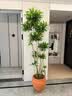 美益棵营养土养花通用型8L园艺专用种菜蔬菜多肉盆栽绿植种植泥炭土壤 实拍图