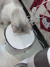 霍曼（Homerun）Real智能自动喂食器猫粮狗粮定时猫咪自动投食机 不锈钢碗喂食器+三代饮水机+滤芯 实拍图