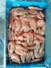美加佳熟冻北极甜虾腹籽净重3斤 90/130规格  熟冻甜虾海鲜水产聚餐 实拍图