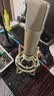 好牧人声卡直播设备全套装声卡唱歌唱歌专用麦克风话筒k歌神器主播专业配录音电容麦手机电脑外置变声器 实拍图