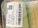 【烧烤季】黄粒甜玉米约850g 实拍图