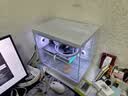 华硕天选RTX5070/5060Ti/5060显卡14600KF/270K Plus组装电脑台式主机3D游戏电竞DIY整机天选姬海景房 Ultra5 230F+华硕RTX5060 配置九 实拍图