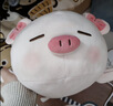 名创优品（MINISO）小猪B-BO翅膀款趴毛绒公仔玩具玩偶抱枕娃娃靠枕生日礼物女 实拍图