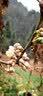 SONGX洛天依联名蓝牙耳机不入耳气传导概念开放式耳机挂耳运动跑步骑行适用苹果华为小米七夕情人节礼物 实拍图