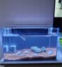 森森 小鲤鱼缸水泵小型潜水泵过滤泵抽水泵XQP-500 6W 实拍图