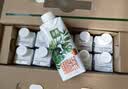 伊利金典3.8g乳蛋白 有机脱脂纯牛奶250ml*10盒 0脂肪 礼盒装 实拍图