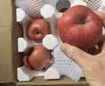 京鲜生 山东烟台红富士 净重5斤装单果80-85mm 生鲜水果 源头直发 包邮 实拍图