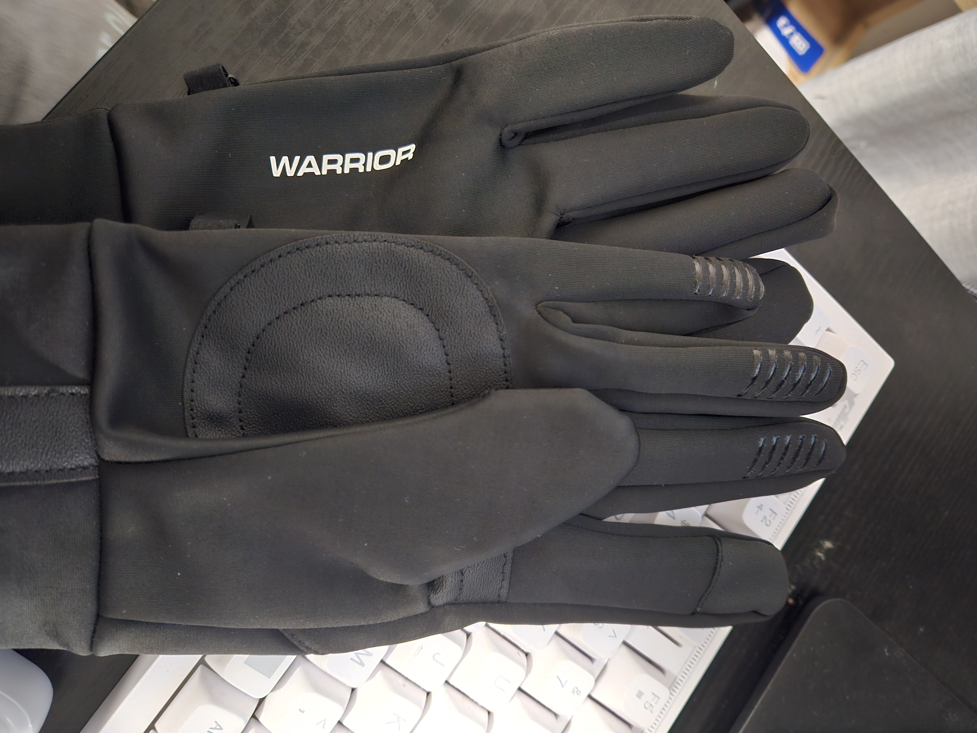 回力（Warrior）2026冬季骑行手套男士骑自行车防寒保暖防滑加绒加厚保暖可触屏女 实拍图