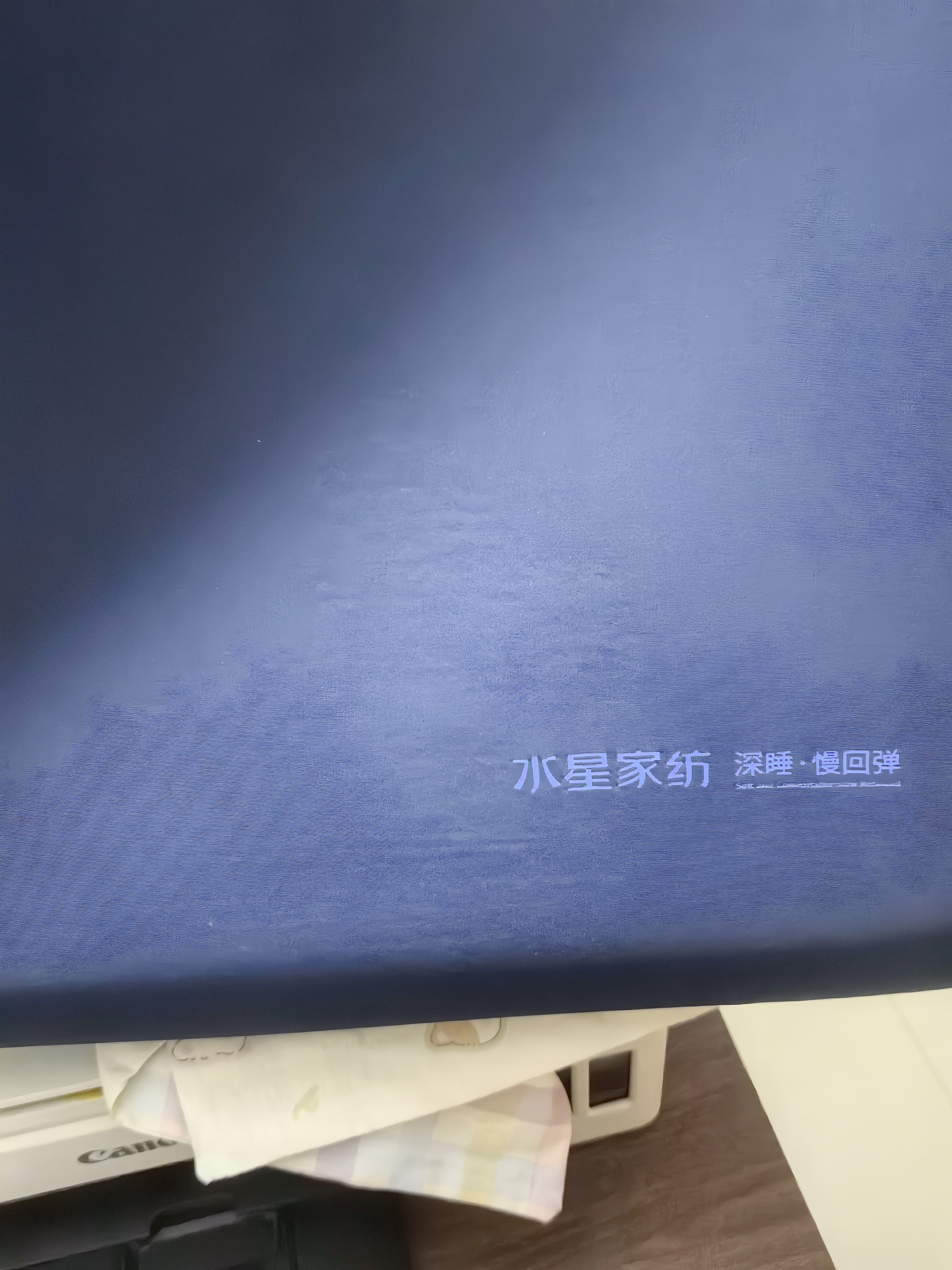 水星家纺枕头护颈椎枕芯双面双感睡眠深度养护酒店慢回弹记忆棉枕头芯 实拍图