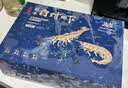 万景国产大虾 盐冻北海白虾(大号) 80-100只净重4斤 家庭聚餐海鲜 实拍图