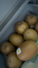 佳沛（zespri）新西兰 阳光金果18粒超大果原箱单果175-204g 猕猴桃水果礼盒 实拍图