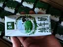 伊利【新鲜日期】金典纯牛奶整箱 200ml*24盒 3.6g乳蛋白 礼盒装 6月 实拍图