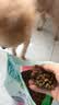 麦富迪狗粮 藻趣儿狗粮幼犬粮牛肉螺旋藻 呵护肠胃2.5kg 实拍图