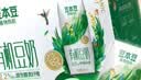 豆本豆植物有机豆奶植物蛋白质饮料儿童营养学生早餐奶250ml*12盒礼盒 实拍图