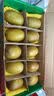 佳沛（zespri）新西兰阳光金果10个装单果重约103-114g 水果礼盒 猕猴桃 实拍图