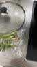 带根香菜100g 实拍图