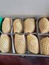 佳沛（zespri）新西兰金奇异果12粒特大果124-146g猕猴桃中秋节礼品送水果礼盒 实拍图