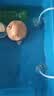 森森鱼缸增氧泵水族箱氧气泵LQE-200家用小型充氧泵4W双孔+全套配件 实拍图