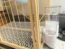 酷奇宠猫笼 大号猫笼子带厕所猫别墅猫窝成猫幼猫猫舍猫屋宠物笼子用品 黄色 中双层 70.5*54.5*76cm 实拍图
