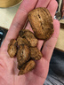 百年再春堂牛蒡根茶250g新鲜牛旁磅膀根茶药材黄金牛蒡旗舰店正品 实拍图
