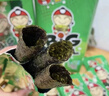 老板仔海苔卷原味 泰国进口 脆紫菜 儿童 休闲零食 独立包装3g*15条 实拍图
