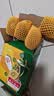 佳沛（zespri）新西兰阳光金果4粒装单果约103-114g 猕猴桃新鲜水果源头直发 实拍图