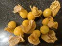 京觅东北姑娘果5斤装净重 灯笼果黄菇娘洋姑娘果 新鲜水果 源头直发 实拍图