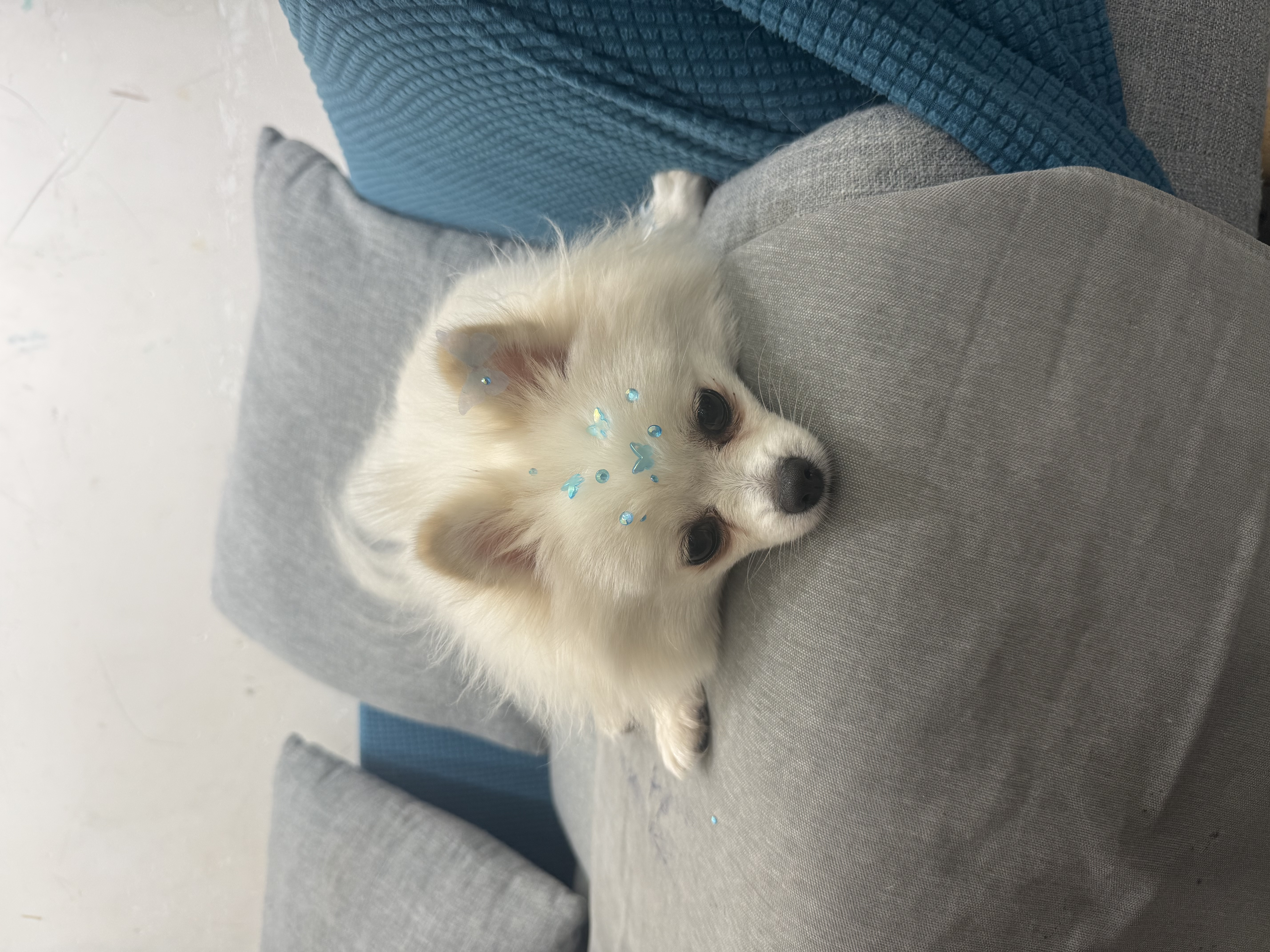 百思绒黑色跑步运动套装女专业训练服速干宽松透气修身防走光健身瑜伽服 实拍图