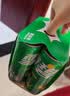 可口可乐檀健次代言 雪碧Sprite柠檬味汽水碳酸饮料330ml*6罐 实拍图