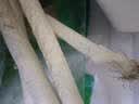 京鲜生家美舒达 山东 大葱 铁杆葱 净葱 700g 出口级 新鲜蔬菜 实拍图