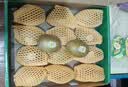 佳沛（zespri）新西兰金奇异果12粒特大果124-146g猕猴桃中秋节礼品送水果礼盒 实拍图