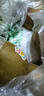 佳沛（zespri）新西兰 阳光金奇异果12粒特大果单果124-146g 猕猴桃水果礼盒 实拍图