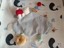 babycare甜梦安抚巾牙胶新生儿婴儿安抚玩具毛绒玩偶手偶可咬-云朵西高地 实拍图