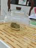忆壶茶茶壶泡茶壶玻璃烧水壶茶水分离家用新款高硼硅加厚防爆提梁煮茶壶 实拍图